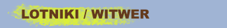 LOTNIKI / WITWER